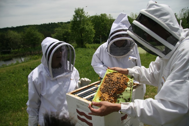 https://beekeepernews.files.wordpress.com/2012/01/img_3223.jpg